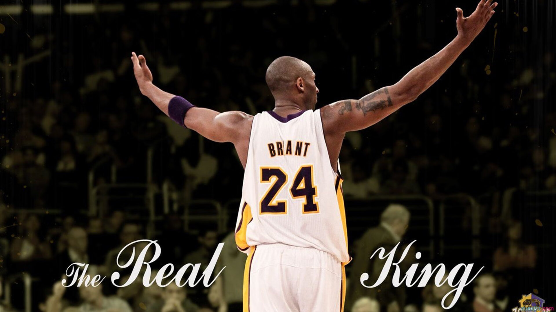 篮球赛场焦点！日本队对阵澳大利亚队，爆冷逆转，黑马强势击败劲敌